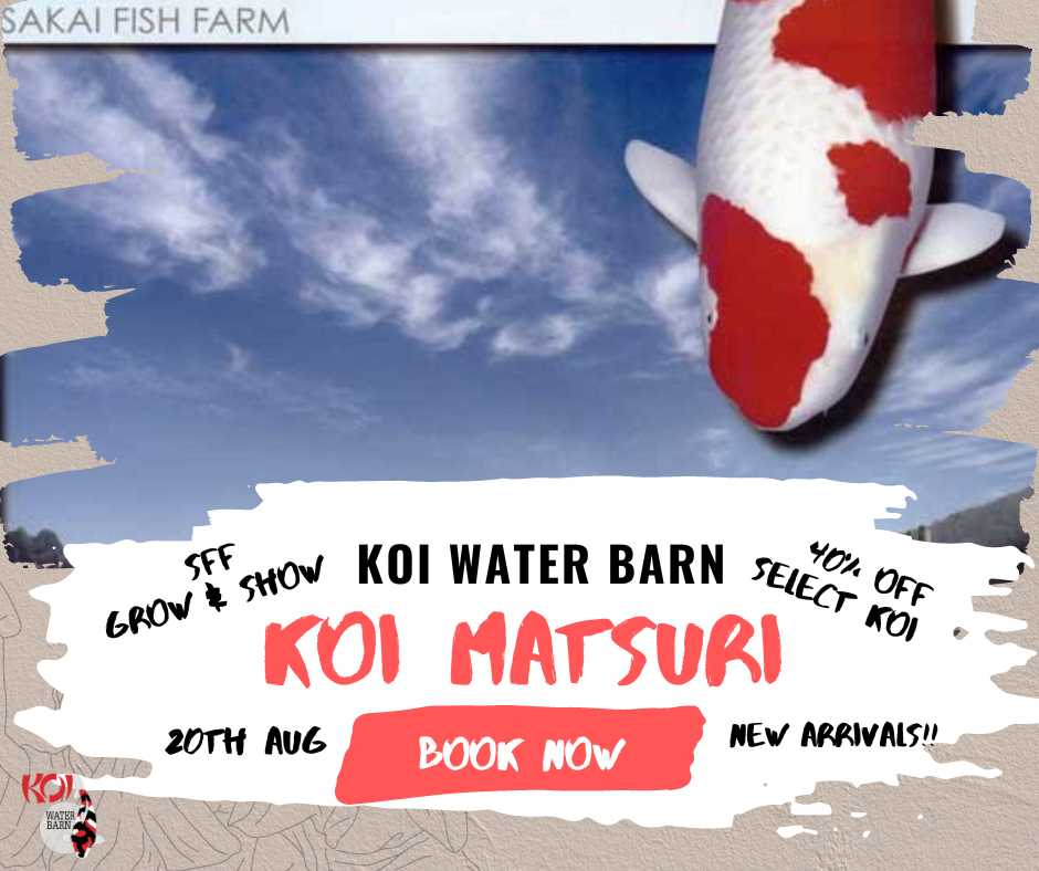 Copy of Koi water Barn presents Koi Matsuri